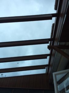 photo 3 1